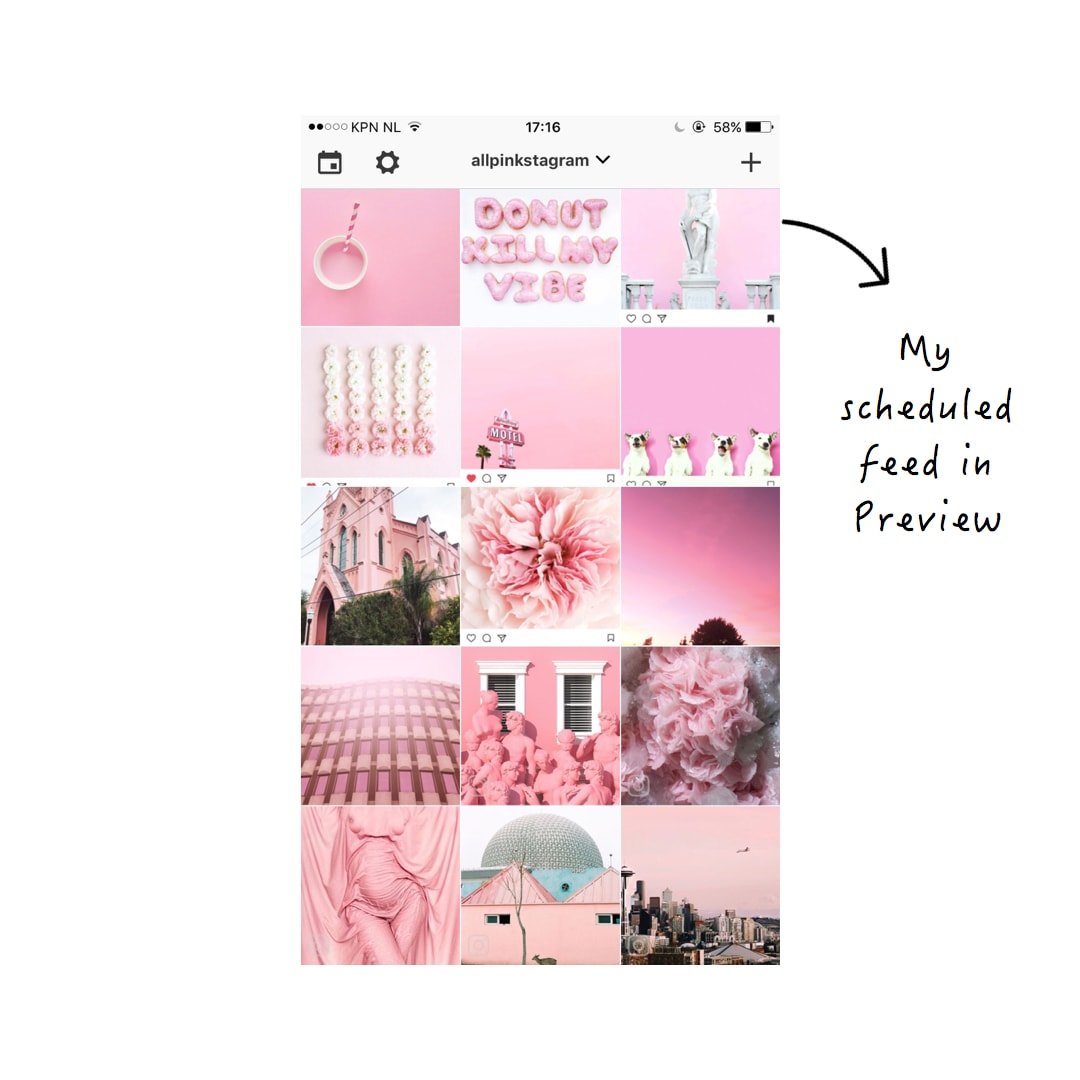 pink instagram feed 7