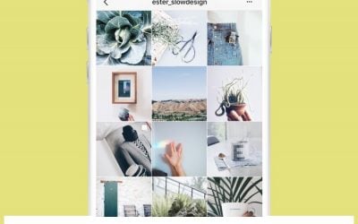 How to create a cohesive Instagram Feed: Full GuideHow to create a cohesive Instagram Feed: Full Guide