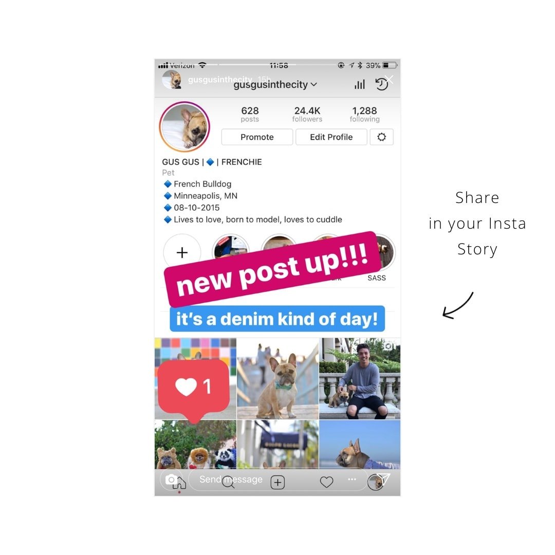 39 Instagram Story Ideas for Engagement