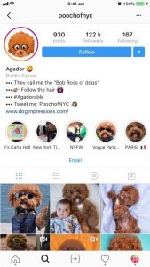 Should You Show Your Face on Instagram? (+ tips & ideas)