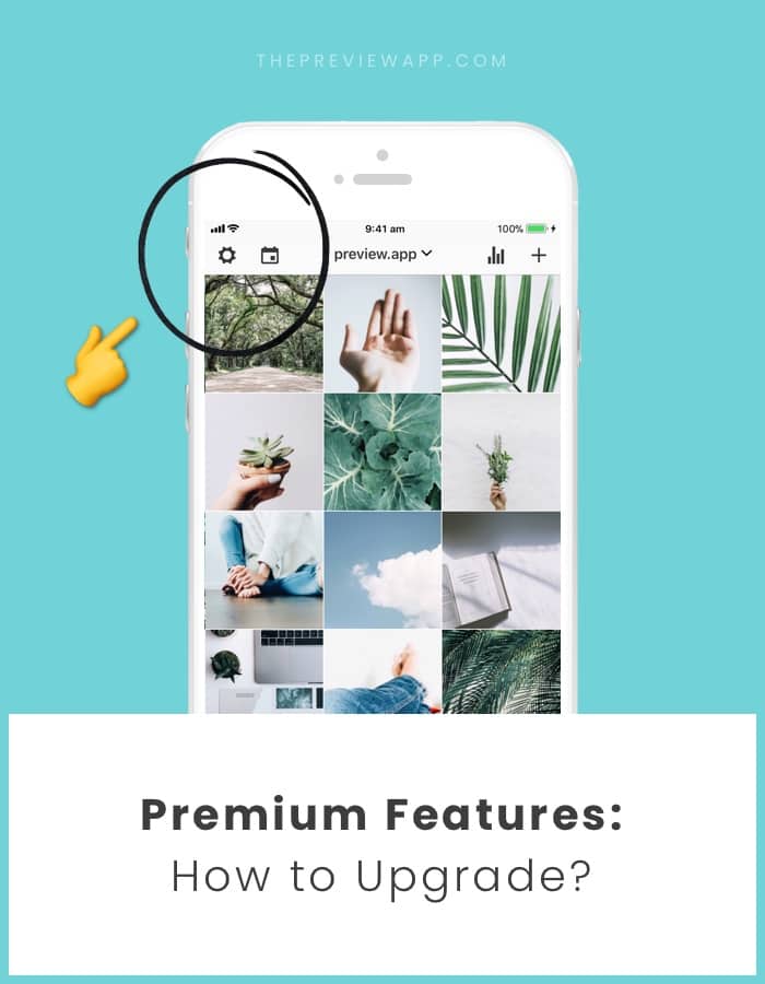 How to upgrade to Premium on Preview app?