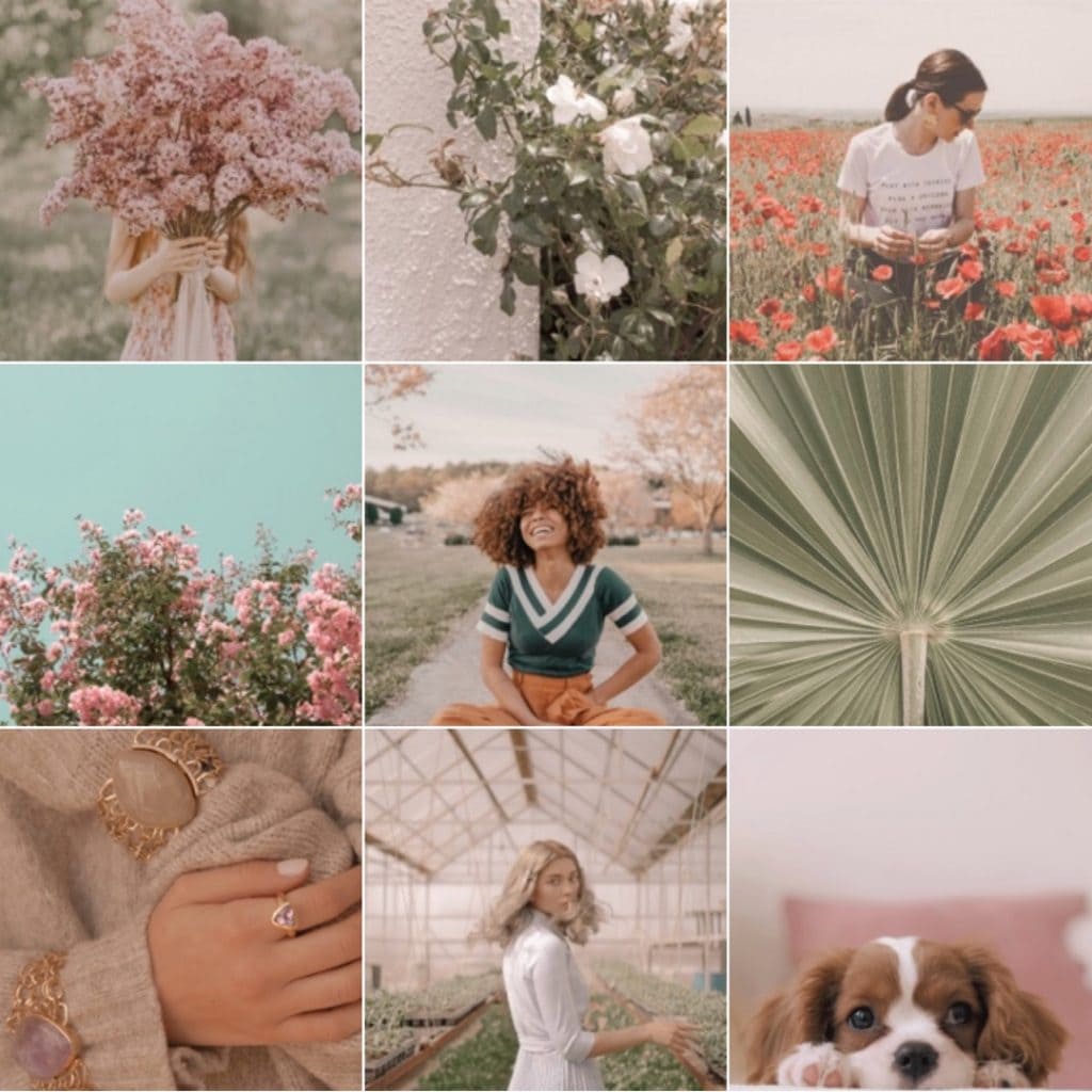 Instagram presets The Best and Most Popular ones