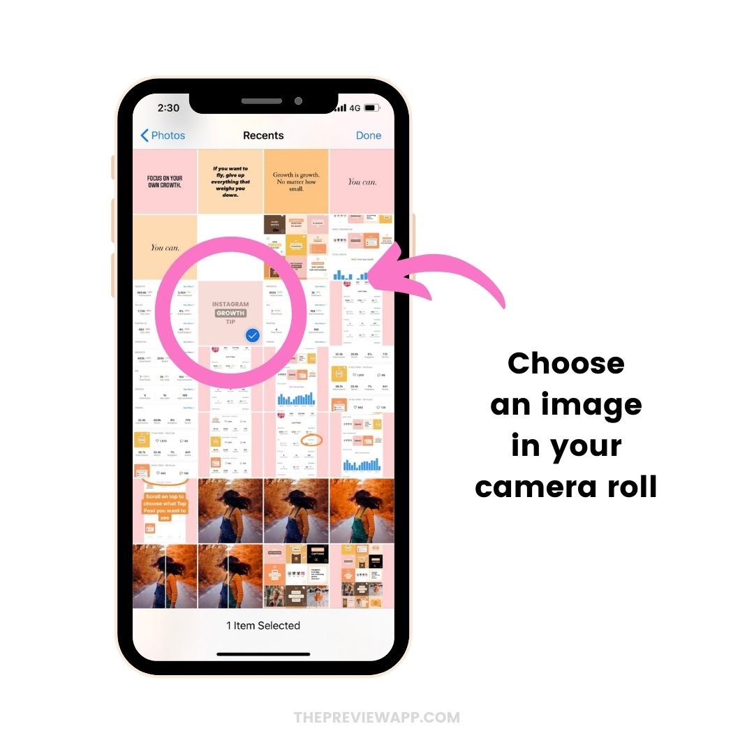 How to Show Posted Instagram Reels and IGTVs in Preview?