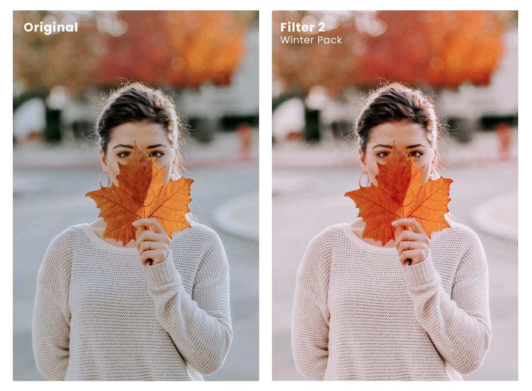 fall filters for instagram