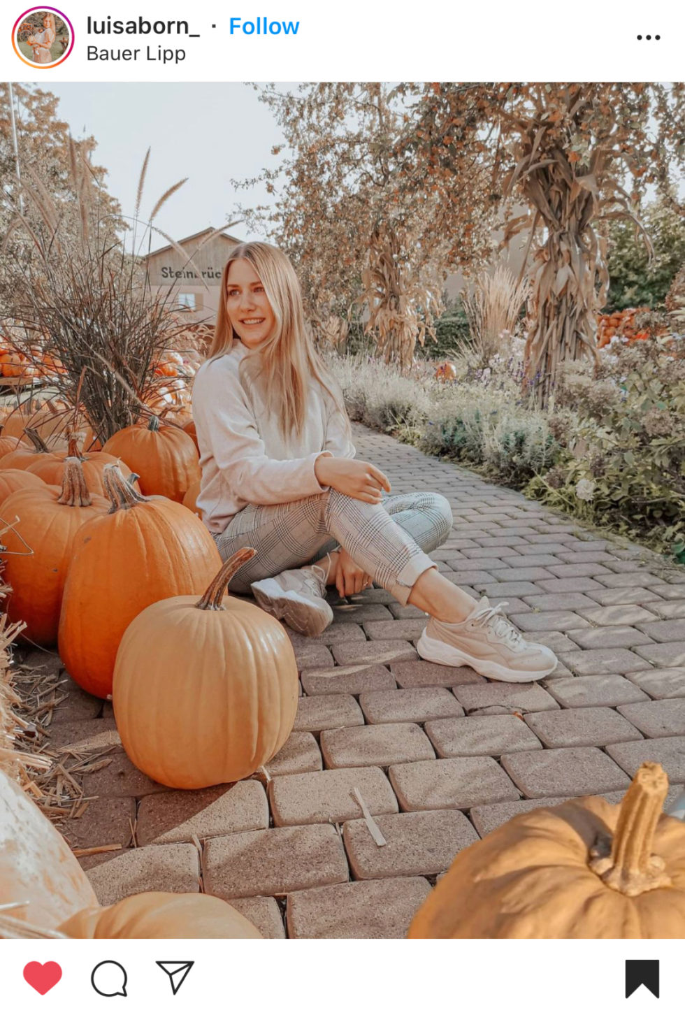 autumn fall instagram autumn fall instagram