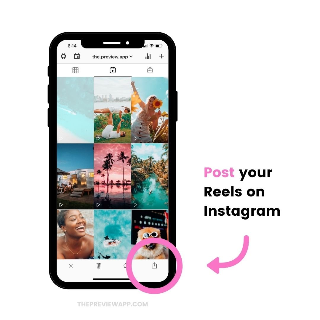 The "Share" button to post your Reels on Instagram