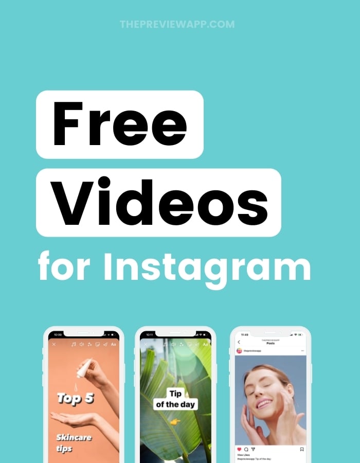 Free videos for Instagram posts, Reels, Stories, social media in Preview App! Download now
