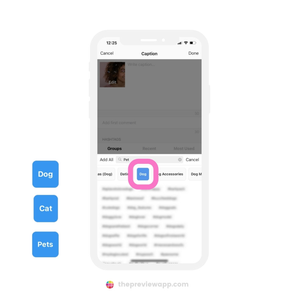 The Best Halloween Instagram Hashtags (with Photo Editor & Scheduling)