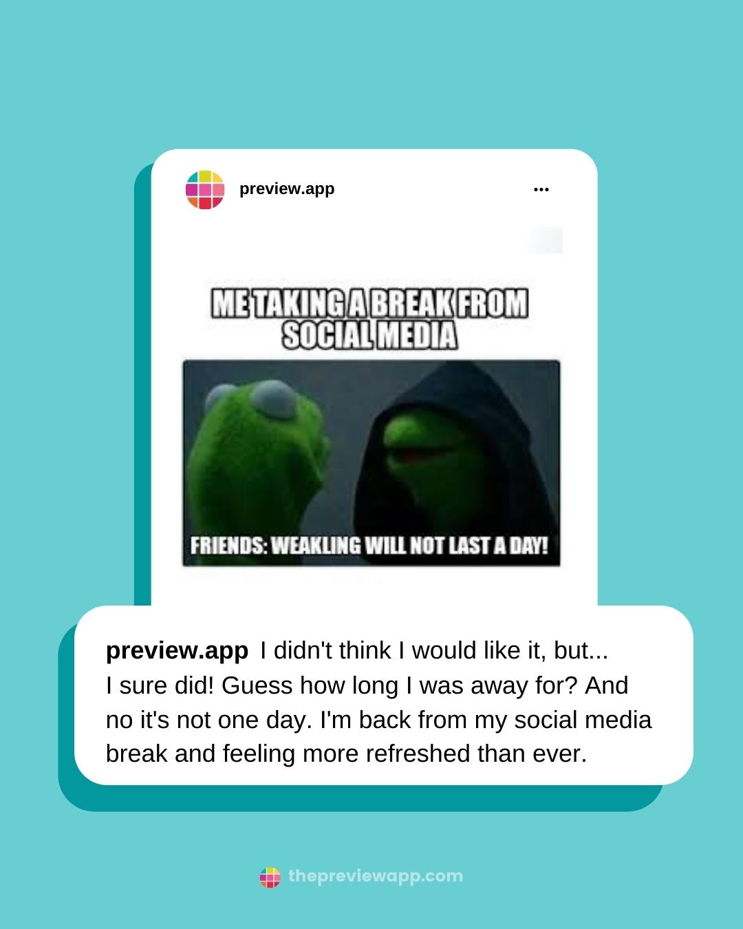 kermit the frog instagram quotes