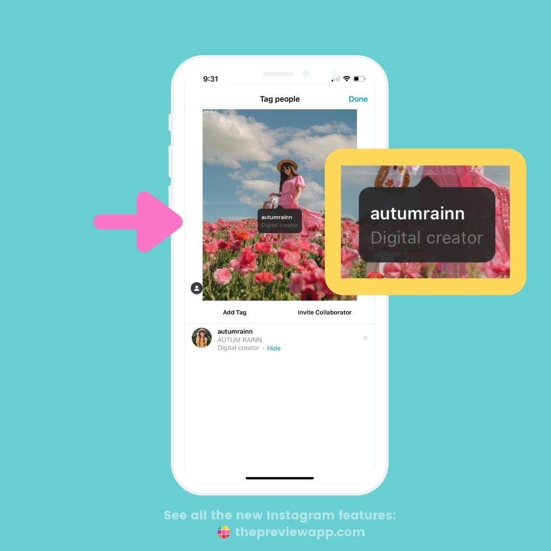 Instagram Introduces Two New Features, Favourites And Following