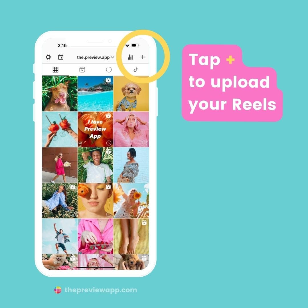 instagram reels text disappearing