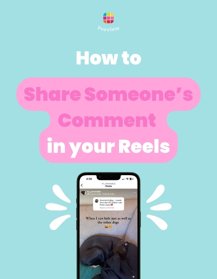 How to Share Someone’s Comment in your Reels